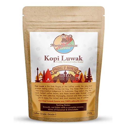 Monkey Business Coffee - Wild Kopi Luwak Coffee Whole Beans - Ethically Sourced - 250 Grams (8.8oz) (Other Weights & Bean Types Available) - Produce of Indonesia