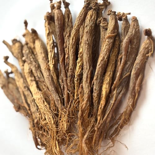 gQ50g RY  ̂܂܊ gQ lQ NlQ I^ljW WZmTCh 쐶In͔| ۂۖ{