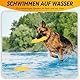 SUNNEKO Hundespielzeug Frisbee, Robuste Wurfscheibe für Apportierspiele, Langlebig für Starke Kauer, Schwimmfähiges Wasserspielzeug, Training für mittelgroße und große Hunde, Gelb