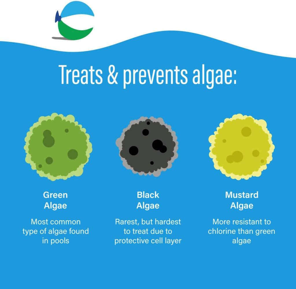 Poolife Defend+ 32 fl oz – 3-in-1 Pool Algae Protection – Clarifier + Preventative Shield – Includes Easy Measuring Cup, 7-in-1 Test Strips and Pool IQ - AI 2 Pack