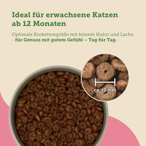 MERA Cats Nature Lachs Premium Katzenfutter Trocken 2kg | Getreidefrei & zuckerfrei | Adult Katzen Trockenfutter hoher Fleischanteil | Dry Cat Food