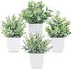 Der Rose Paquete de 4 Mini Plantas Falsas de 7", Plantas Artificiales para Decoración de Baño | Aspecto de eucalipto esmerilado, follaje artificial de bajo mantenimiento, para escritorio, repisa, ventana, oficina, mesa, dormitorio y aula 2