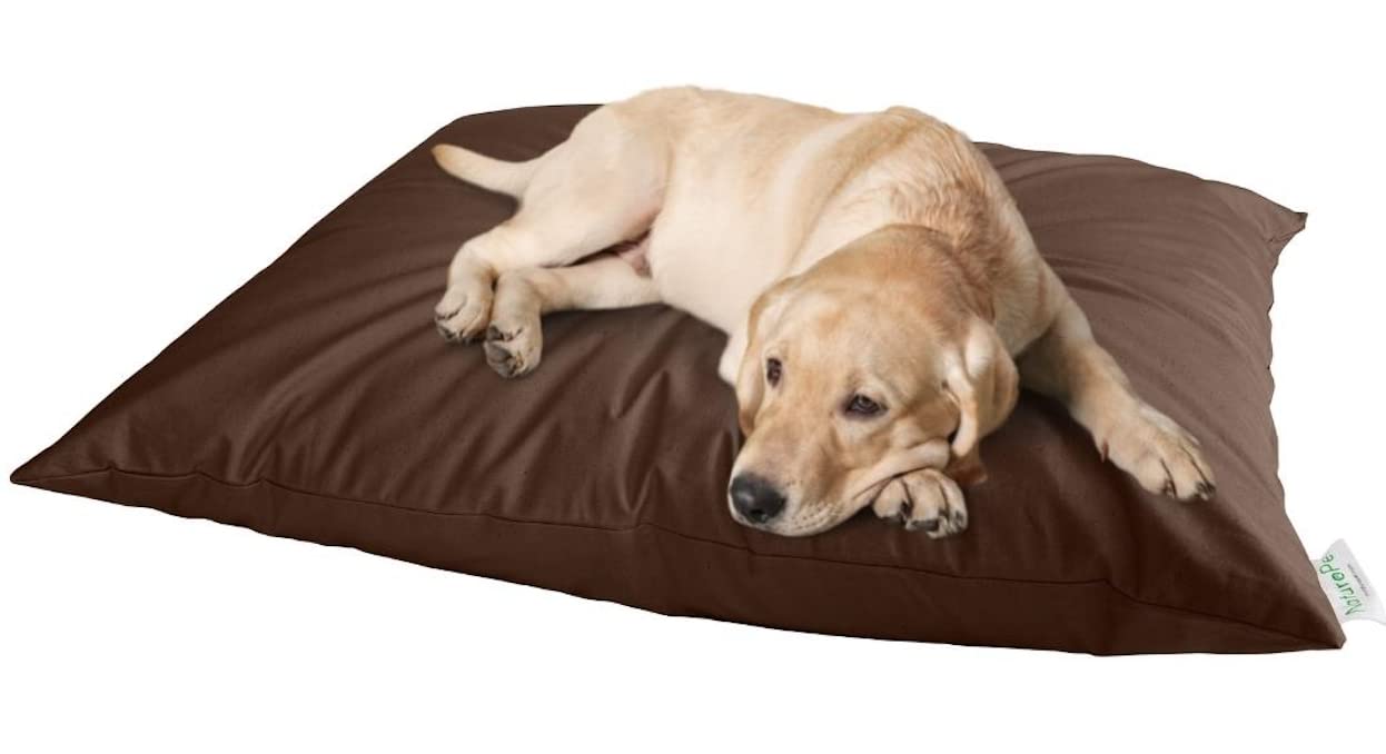 How Often Should You Wash A Dog Bed