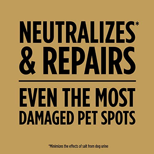 Scotts EZ Seed Dog Spot Repair Sun and Shade, 2 lbs. - image 5