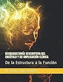 NEUROANATOMÍA DESCRIPTIVA DEL ENCÉFALO Y SU IMPLICACIÓN CLÍNICA: De la Estructura a la Función
