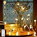 100 LED Lichterkette Strombetrieben,15M Lichterkette Kugel warmweiß mit Stecker für Außen und Innen,IP65 Wasserdicht Lichterketten mit Dimmbar Fernbedienung,Ideal für Zimmer,Weihnachten,Party,Garten