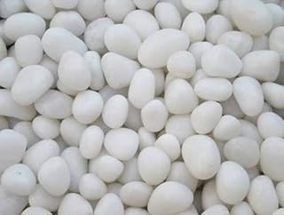 Ohhsome 10Kg White Unpolished Natural Pebbles Pebbles/Stones for Garden Decor Pot Decoration [10Kg]