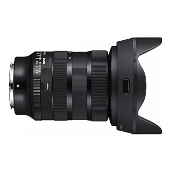 Amazon.com : Sigma 24-70mm F2.8 DG DN II Art Lens with High