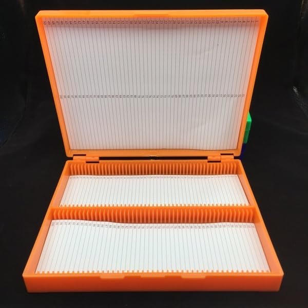 Lab ABS Plastic Microscope Dispenser Slides Storeage Box 100pcs Pathological Slides Storage Holder Case (Color : Green)