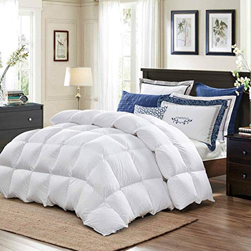 Coozii Luxury Goose Down Alternative Comforter King 106 x 90 Inch,Ultra Soft Brushed