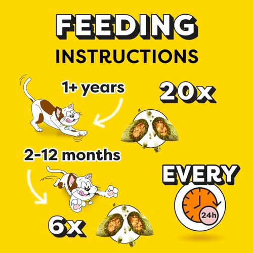 DREAMIES Cat Treats with Catnip Flavour 350g MegaTub Pack of 2 - Image 6