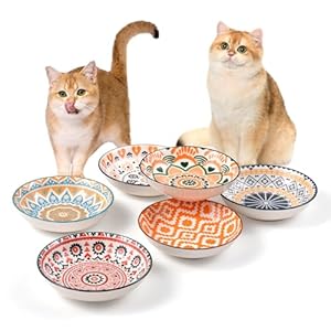 Yeahgo 6pcs Keramik Katzenfressnapf Set