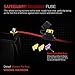 MICTUNING LED Light Bar Wiring Harness Fuse 40Amp Relay ON-OFF SASQIATCH Rocker Switch Blue(2 Lead )