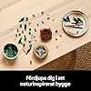 LEGO Botanicals Bambudracena Prydnad med inomhusväxt, Bygg din egen rumsdekoration, Byggsats för vuxna, Present för kvinnor, män och alla naturälskare 10344 #2