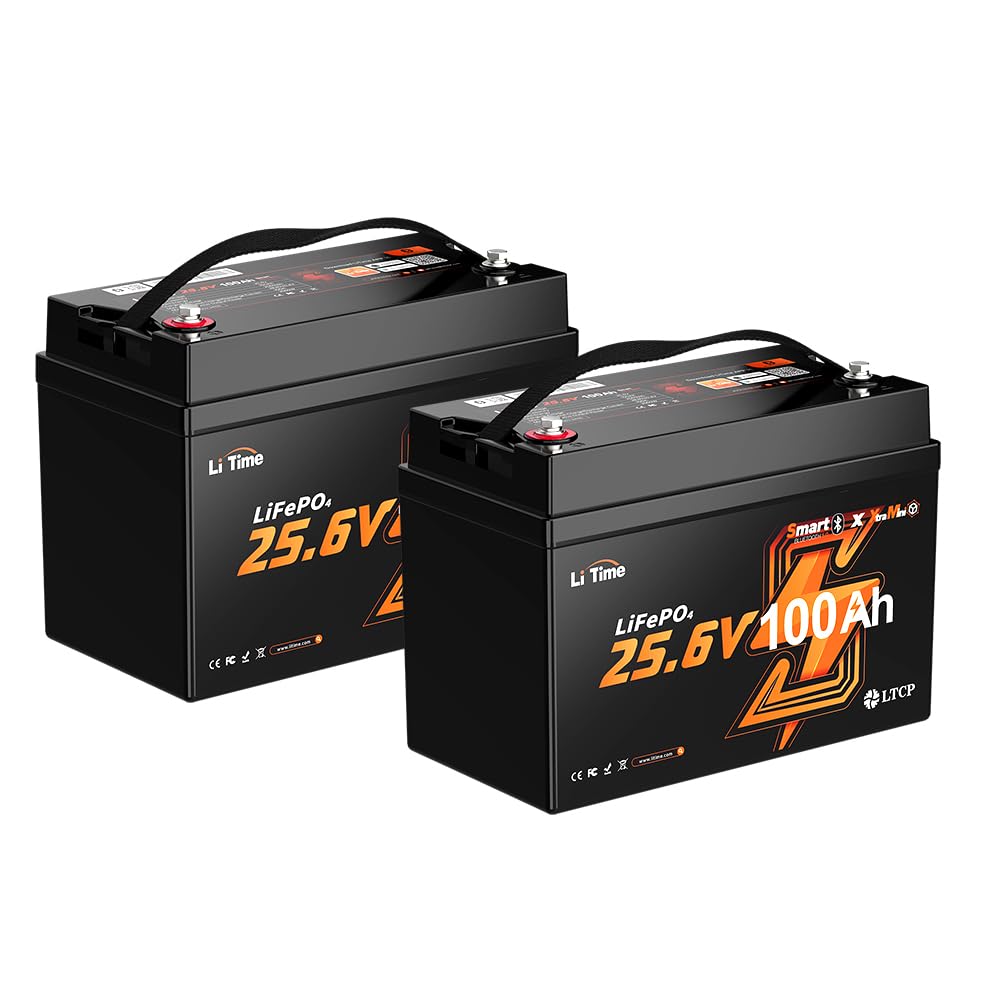 LiTime 2 Pack 24V 100Ah Mini Lithium Battery for Trolling Motors, Marine
