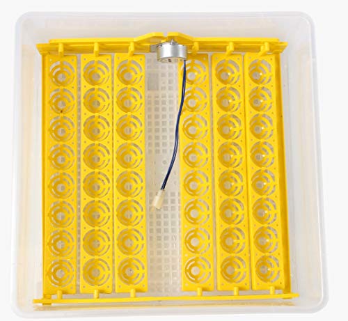 Image of TM&W Egg Incubator Mini Machine New Chickens /Ducks /Goose Egg Incubator Poultry Hatcher Brooder 48-Egg, Auto Turn