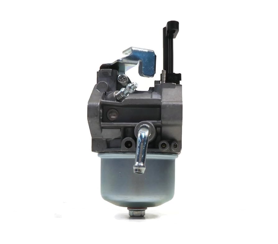 アデニアグロボーサ 51sk8zPHgmL._UF894,1000_QL80_.jpg