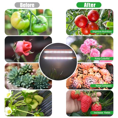Image of 16'' LED Grow Light Strips for Indoor Plants, Full Spectrum 120 LEDs with 4 Install Methods, 6 /12 /16H Timer, 10 Dimmable Levels, 3 Switch Modes for Seedling Succulent Sunlike Strip (2 Head 1 Pack)