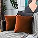UPOPO Confezione da 2 Federe in Velluto Cuscini Decorativi in Tinta Unita Copricuscini Fodere Quadrate Morbidi per da tiro per Divano Camera da Letto Soggiorno con Cerniere 40 x 40 cm Rosso Mattone