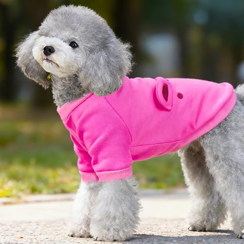 Image of Rose Cute Dog Sweater Soft Winter Clothes for Small Dogs, XS