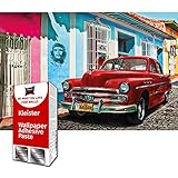 CONTENIDO DEL PAQUETE: Papel Pintado - 5 Partes, Instrucciones y 200g de Pasta en una bolsa resistente. Abra el empaque con mucho cuidado, contiene un mapa del mundo para usted.