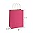BagDream Hot Pink Gift Bags 8x4.25x10.5 100Pcs Kraft Paper Gift Bags with Handles Medium Bulk, for Shopping Party Favor, Retail Merchandise Grocery Paper Sacks