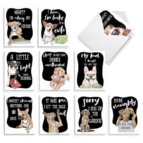 Boîtes à notes chien de haute qualité avec enveloppes format 10x13