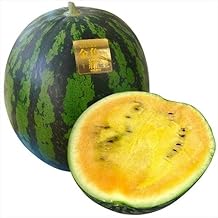 Seeds, Vegetable Seeds, Large Watermelon, F1 Golden La-King PVP, 1 Bag (5 Seeds) / Kokkaen Spring Product