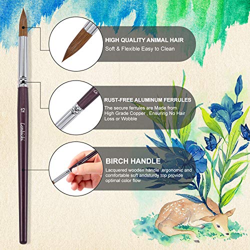 Lenbicki Sable Watercolor Brushes 6Pcs Superior Kolinsky Sable Hair Paint Brushes Round Pointed Tip Detail Artist Professional Watercolor Brush Set thumb #3