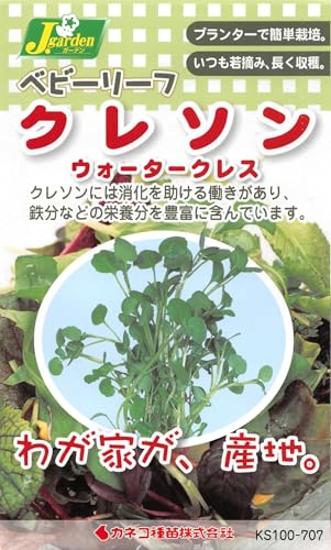 JlRc |E KS100V[Y N\ EH[^[NX 100 707