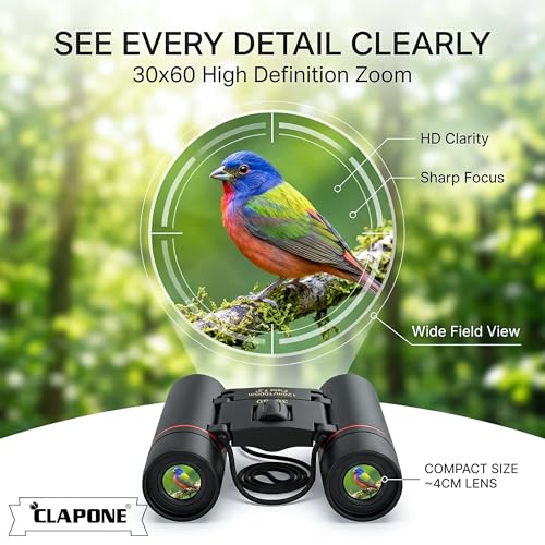 Image of Binoculars for Adults & Kids, HD High Power Mini Folding Telescope, Wide Field View 126m /1000m, Lightweight Portable for Travel, Bird Watching, Sports & Outdoor Use (Mini Binoculars 30X60)