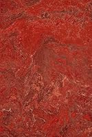 Red Book Volume 13 B0G26L5QW7 Book Cover