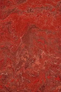 Paperback Red Book Volume 13 Book