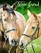 Horse Journal