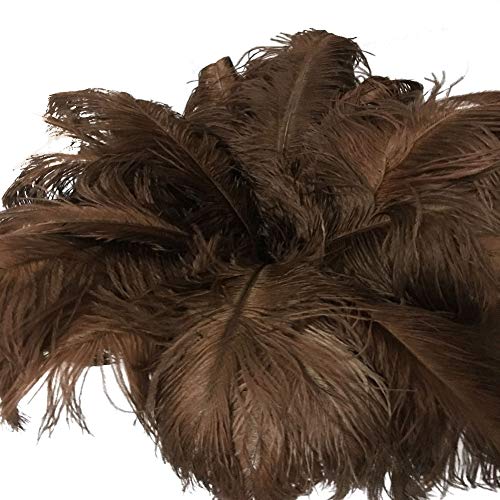 AABABUY 10pcs Ostrich Feathers 16-18inch(40-45cm) for Home Wedding Party Decoration (Brown)
