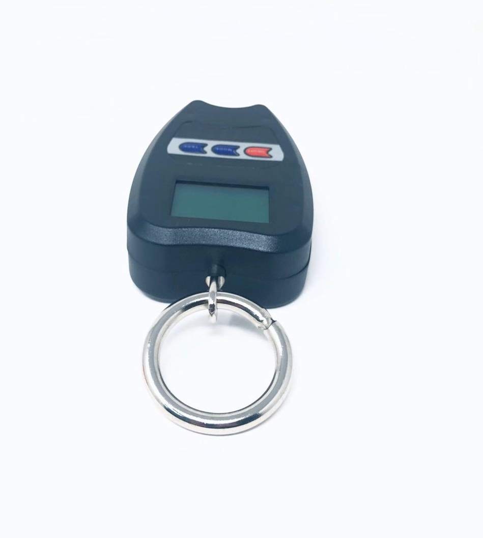 TEMPO DI SALDI Balance professionnelle numérique industrielle crochet dynamomètre ressort max 200 kg, Assortis