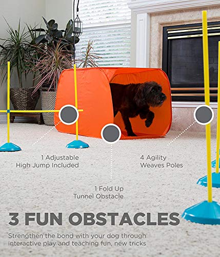 Outward Hound Zip & Zoom Indoor Dog Agility Training Kit for Dogs - Image 3