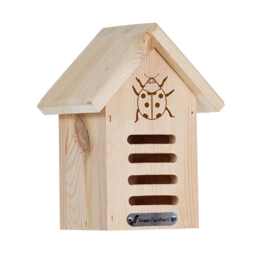 Green Feathers Wooden Insect Ladybird House, Made from Pine Wood, Natural Shelter LadyBird House for your Garden (Ladybird House)