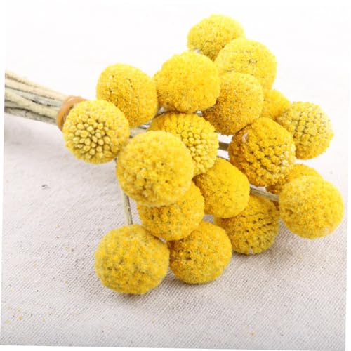 BESPORTBLE 30 tallos flores secas decorativas amarillas miniatura 6