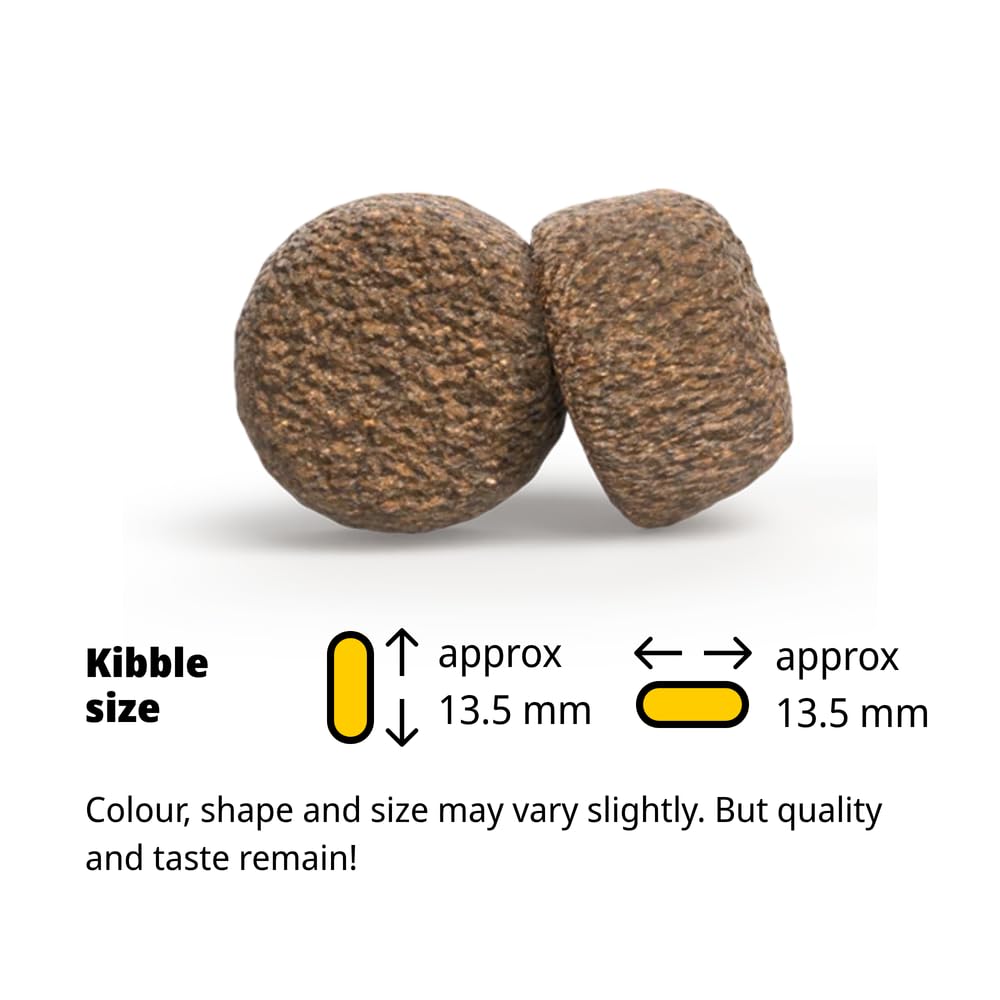 JOSERA Adult Light & Vital kurczak (3 x 3 kg) | sucha karma premium dla dorosłych psów | z groszkiem | o niskiej zawartości fosforu – z niewielką ilością tłuszczu i białka, specjalnie dla seniorów