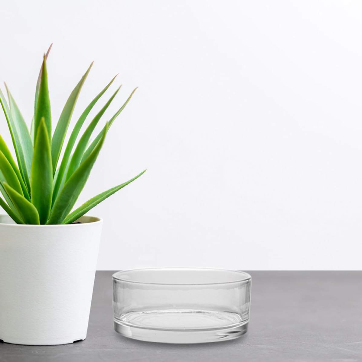 Zerodeko Vaso di Vetro Rotondo per Piante e Pesci, Decorativo e Trasparente | Uso Domestico o Negozio, Vetro Delicato, Alta Trasparenza, Stile Chic, Adatto a Composizioni Floreali
