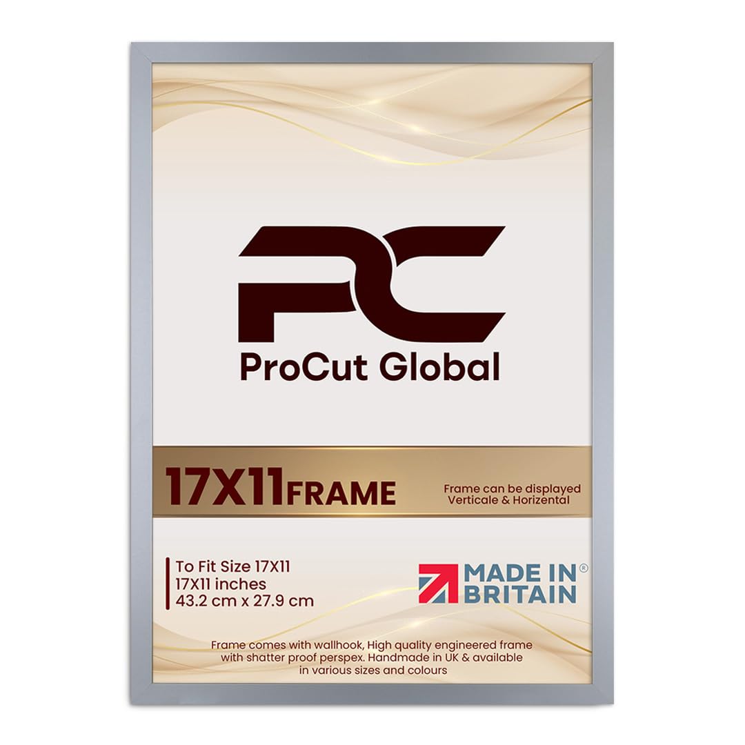 Procut Global 17X11 Silver Picture Frames - Modern Wooden Photo Frame with Shatterproof Perspex for Wall or Tabletop - Perfect for Posters, Certificates, Prints - Sizes & Colors Available