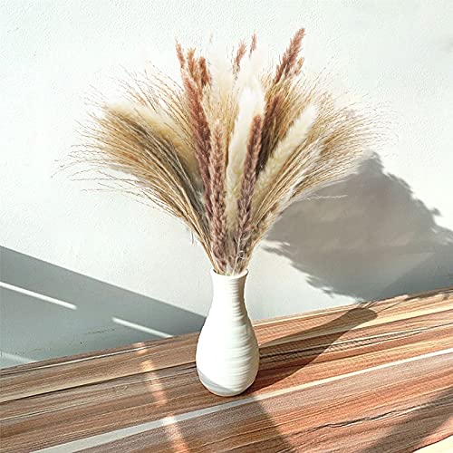 Uieke 80 Pcs Natural Dried Flowers,30Pcs White & Brown Pampas & 50Pcs Reed Grass, Dried Pompous Arrangements For Home Wedding Boho Baby Shower Party Decorations #TOP3