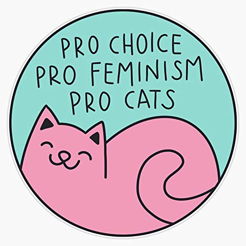 Pro Choice Pro Feminism Pro Cats Sticker Decal Vinyl Bumper Sticker Decal Waterproof 5
