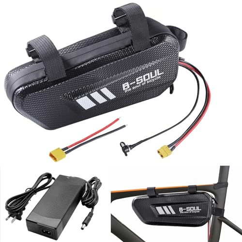 Xunyunda 48V Battery 10Ah with Waterproof Case 54.6V 2A Charger XT60 Connector and BMS for 100-800W Motor