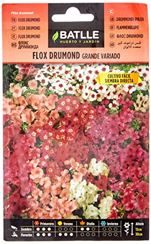 Semillas Batlle Flox drumond GRANDE variado