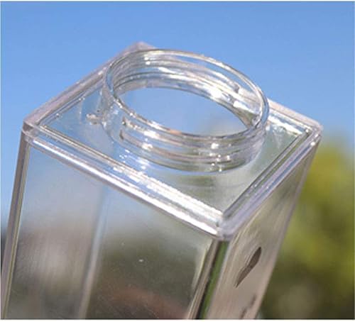 Miniatura 5 de Corvelia 2 unids 16.9 fl oz/17oz lindo a prueba de fugas Cleaar leche Caoton botella de agua portátil conjunto de vasos