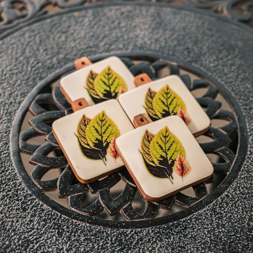 Image of Ireka Home Timber Leaf Coaster Set of 4 | Acacia Wood with Enamel Botanical Leaf Design | Coaster Set Fit for Tea Cups, Coffee Mugs and Glasses