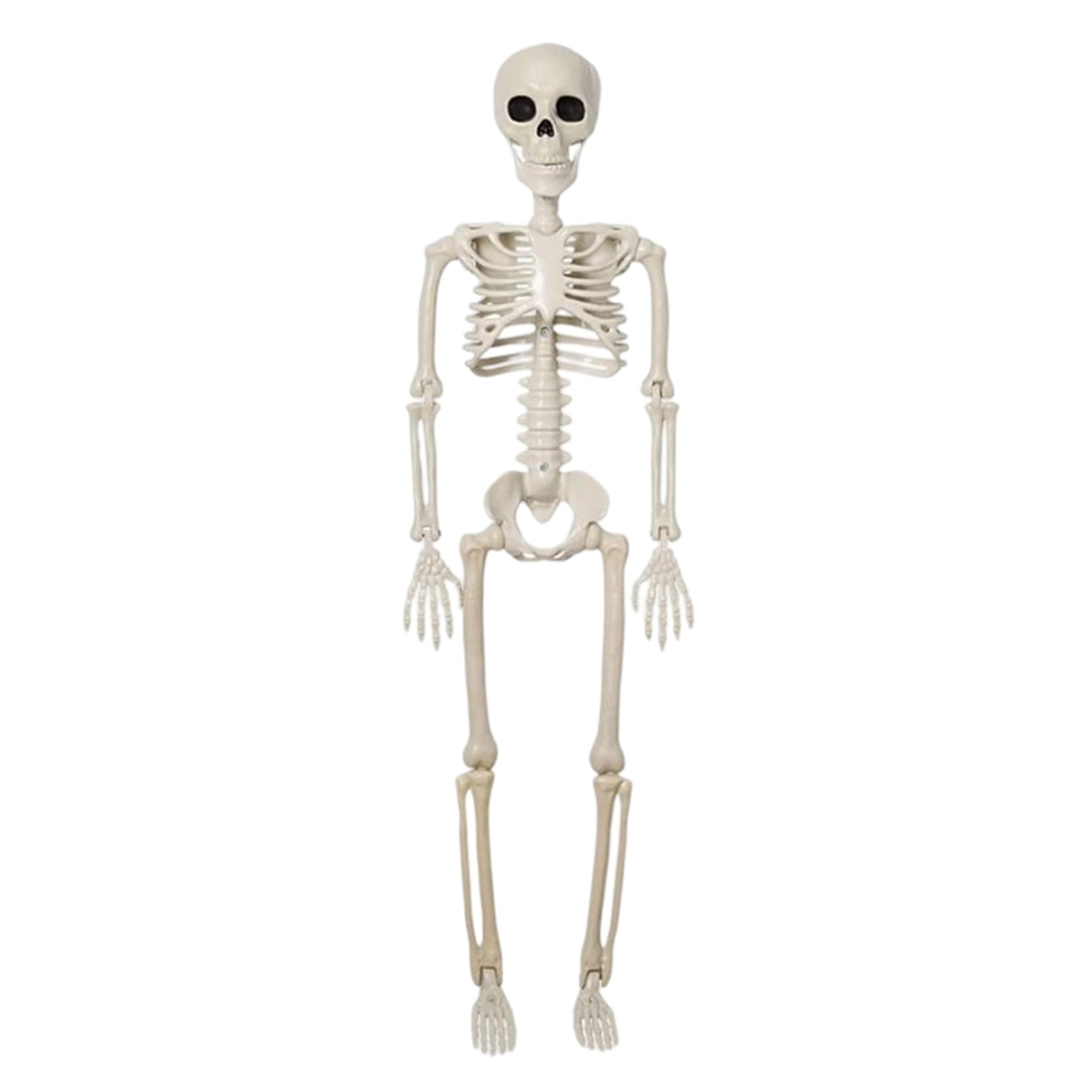 sugerou Skeleton Halloween Decor, 3Ft Life Size Full Body Human Bone, Realistic Posable Skeleton with Movable Joints for Halloween Yard, Porch, Car, Haunted House Decor 1pc