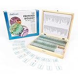 100 diapositivas preparadas de varias plantas, insectos y pañuelos de animales (juego A)